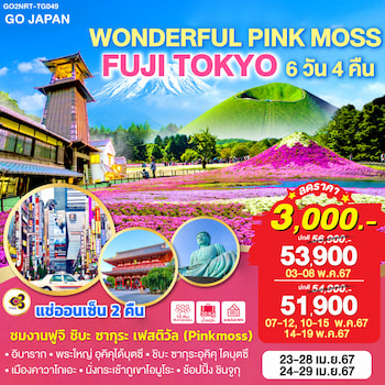 ทัวร์ญี่ปุ่น โตเกียว ฟูจิ WONDERFUL PINK MOSS 6 วัน 4 คืน TG